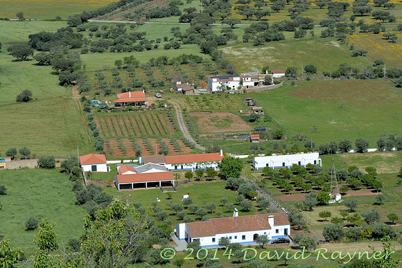 monsaraz (21)v