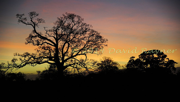 sunset-rise (115)