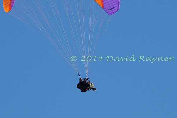 arosa paragliding (115)