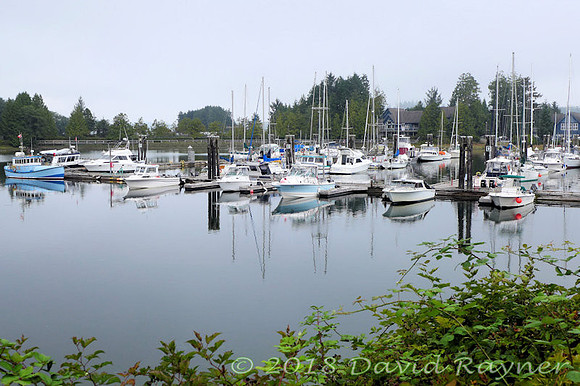 2018-09nb to tofino (43)v