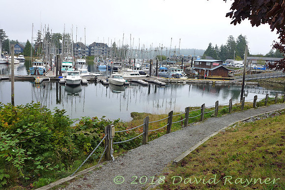2018-09nb to tofino (44)cv