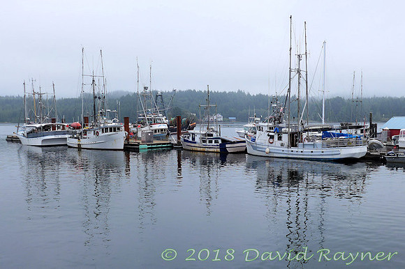 2018-09nb to tofino (45)c2v