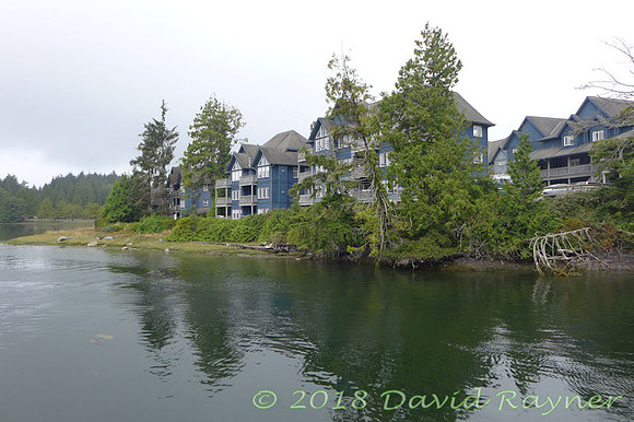 2018-09nb to tofino (46)c