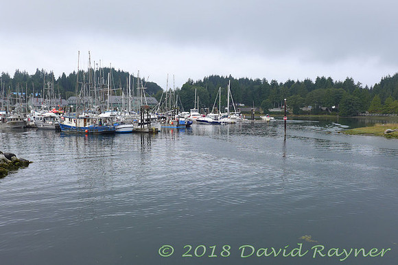 2018-09nb to tofino (47)c