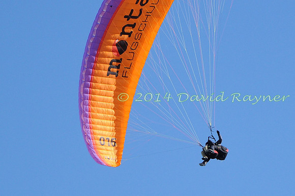 arosa paragliding (116)