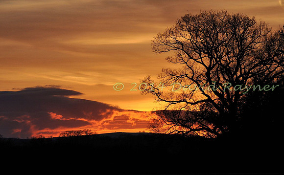 sunset-rise (101)