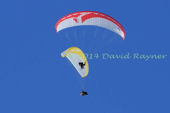 arosa paragliding (114)