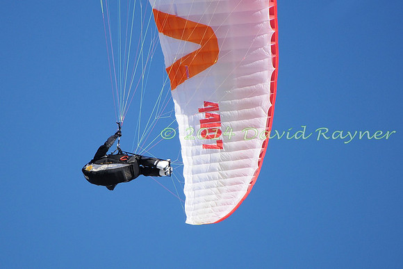 arosa paragliding (117)