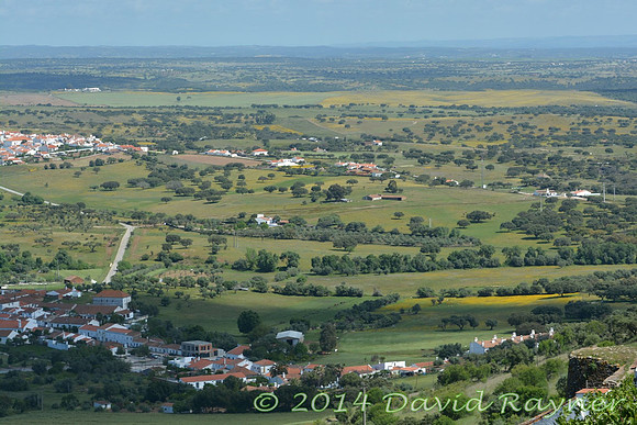 monsaraz (25)c